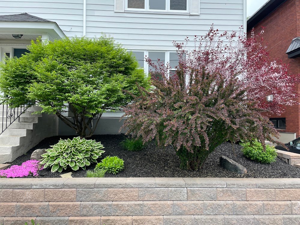 Layered front garden and retaining wall completed by Corner To Corner Landscaping