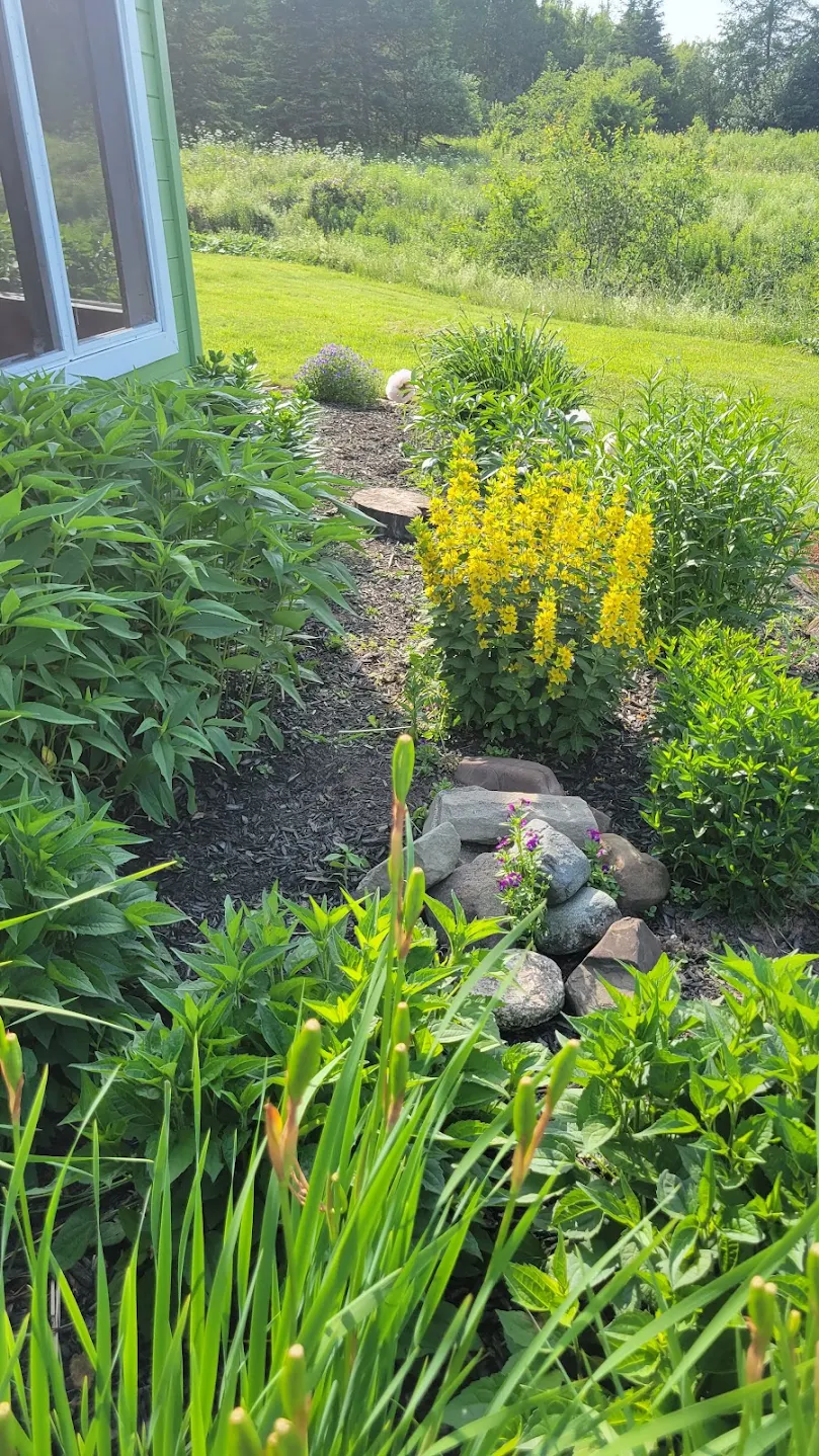 Flowering perennial garden path completed by Corner To Corner Landscaping